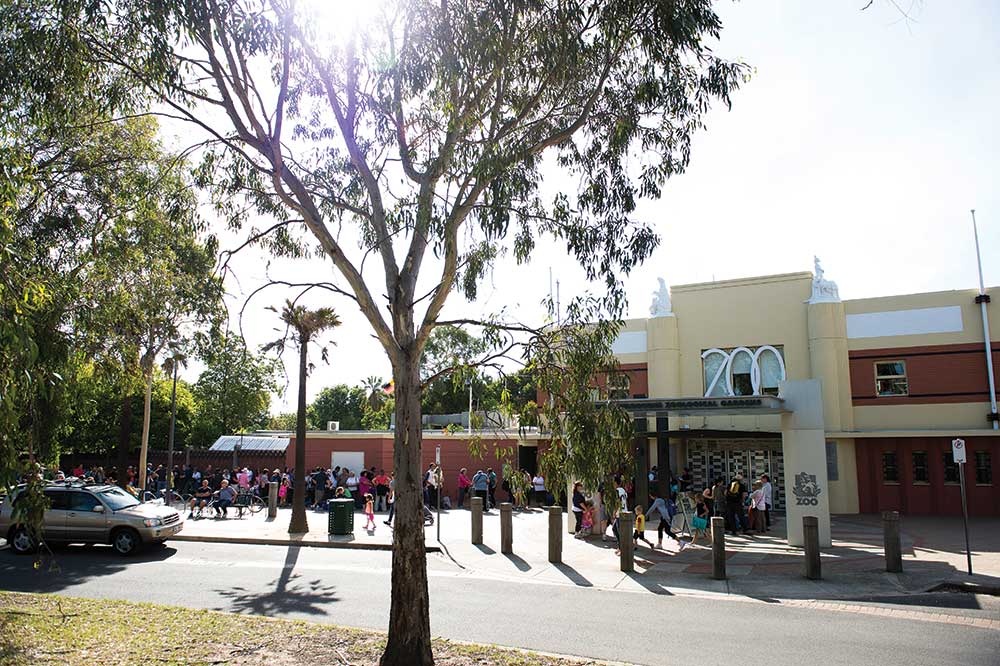 Zoo Picnic 2015 SDA Victoria Union for Workers in Retail, Fast Food